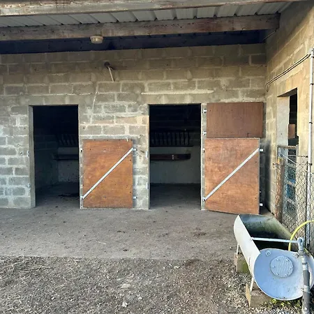 Indépendant Avec Cour Сasa de vacaciones *